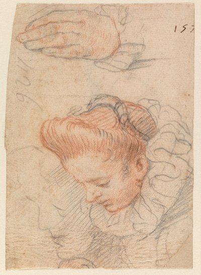 Folha de esboço com cabeça de mulher e mão de Hendrick Goltzius
