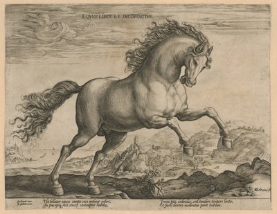 cavalo selvagem Eqvvs liber et incompǒsitvs (título no objeto) Raças de Cavalos dos Estábulos Reais de Don Juan da Áustria (título da série) de Hendrick Goltzius