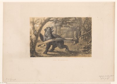 Urso numa armadilha
Um arco de jogo (título sobre o objecto) de Hendrik Adriaan Christiaan Dekker