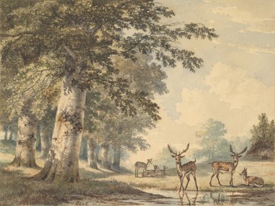 Veado sob faias no inverno de 1853. de Hendrik Gerrit ten Cate