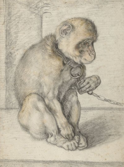 Um macaco sentado em uma corrente, 1592-1602 (giz preto, ocre e vermelho) de Hendrik Goltzius