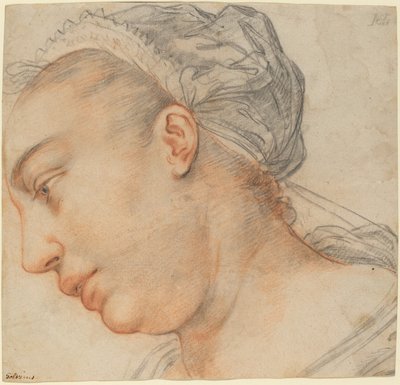 Cabeça de uma jovem de Hendrik Goltzius