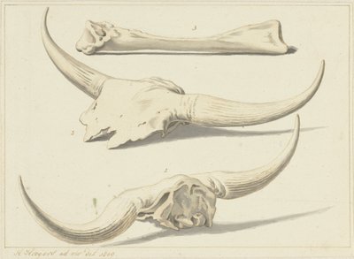 Ossos fósseis de uma auroque encontrados durante a inundação, 1809 de Hendrik Hoogers