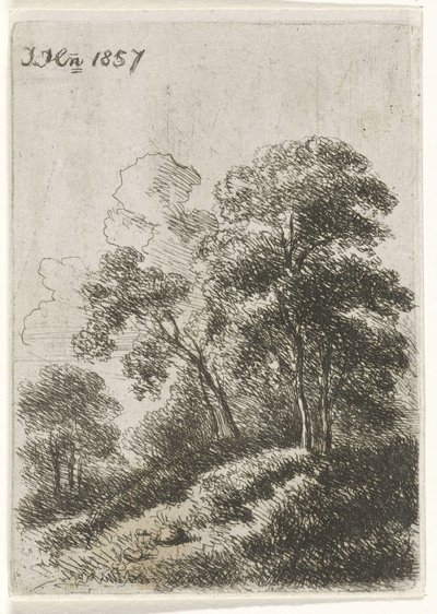 Árvores sobre uma colina de Hendrik Jan Hein