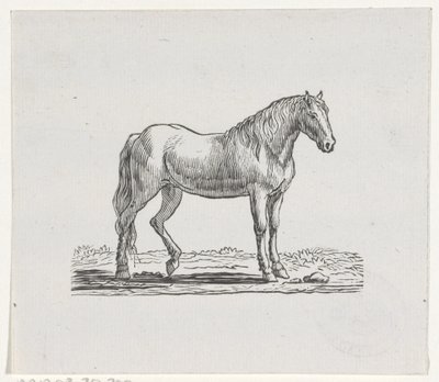 Cavalo de Hendrik Numan