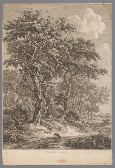 Paisagem em Zuidlaren
Em Zuidlaren (título sobre o objecto)
Nove vistas em Drenthe (título da série)
IX Faces dentro e perto da paisagem de Drenthe (título da série) de Hendrik Schwegman