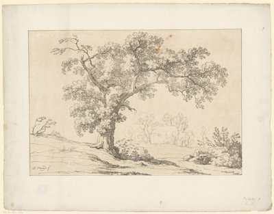 árvore na paisagem Tentamina Lithographica (título da série) Paisagens italianas (título da série) de Hendrik Voogd