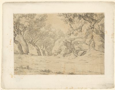 Avenida com rochas cobertas de vegetação
Tentamina Lithographica (título da série)
Paisagens italianas (título da série) de Hendrik Voogd