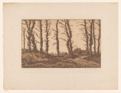 Oud Blaricummerweg (título original sobre o objecto) de Hendrik Weegewijs (signed by artist)