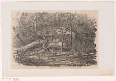 Árvore derrubada em Buitenlust, após a tempestade de 28 de maio de 1860 Buitenlust (título no objeto) Álbum de dez esboços litografados, representando Tooneelen da Destruição, Agitado pela tempestade de 28 de maio de 1860 no 