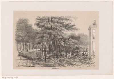Árvore abatida perto de Voorhout, após a tempestade de 28 de Maio de 1860
Voorhout (título sobre o objecto)
Álbum de dez esboços litografados retratando cenas da destruição causada pela tempestade de 28 de Maio de 1860 na Gravenhaagsche Bosch, em Schev de Hendrik Wilhelmus Last