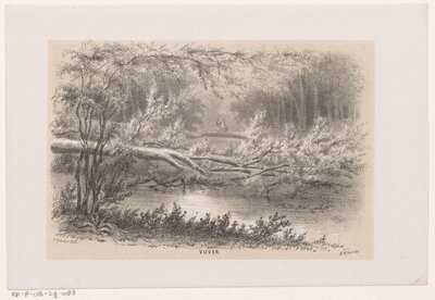 Árvore abatida, após a tempestade de 28 de Maio de 1860
Lago (título sobre o objecto)
Álbum de dez esboços litografados, retratando cenas da destruição causada pela tempestade de 28 de Maio de 1860 na Bosch, em Haia, em Scheveningen, etc. ( de Hendrik Wilhelmus Last