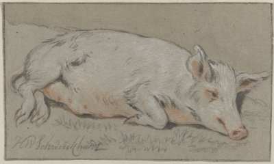 Porco reclinado de Hendrik Willem Schweickhardt (signed by artist)