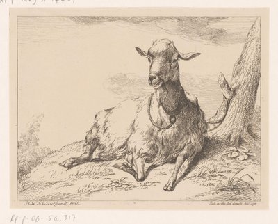 Cabra recortada
Vários animais (título da série) de Hendrik Willem Schweickhardt