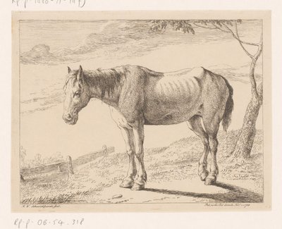 Cavalo
Vários animais (título da série) de Hendrik Willem Schweickhardt