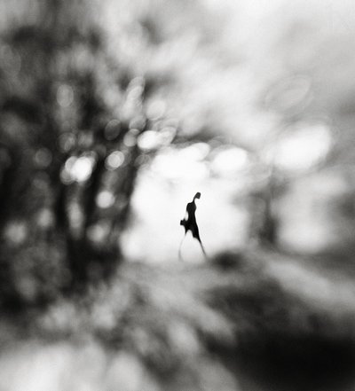 Figura solitária e etérea de Hengki Lee