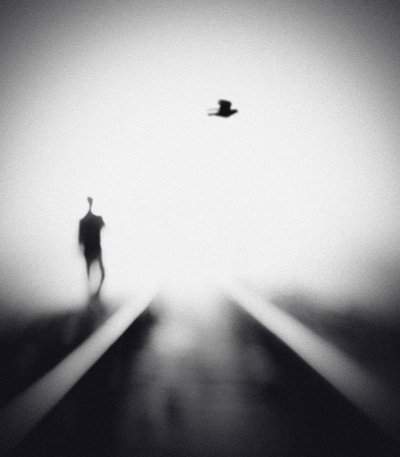 Homem Solitário, Pássaro Voador de Hengki Lee