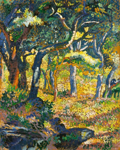 Uma clareira na Provença (Estudo) de Henri-Edmond Cross