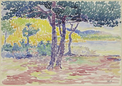 Costa do mar (sul de França) (aguarela sobre papel) de Henri-Edmond Cross
