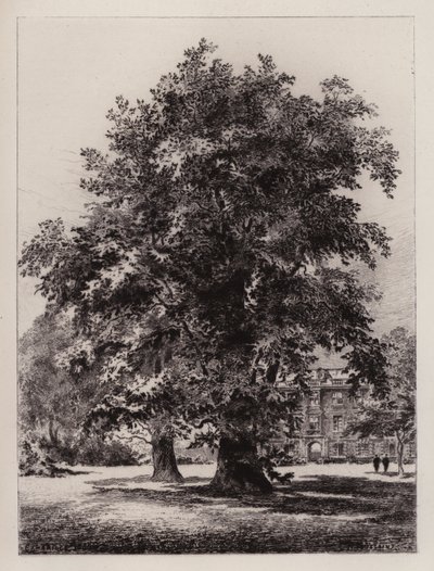 Cambridge: The Garden of Christ