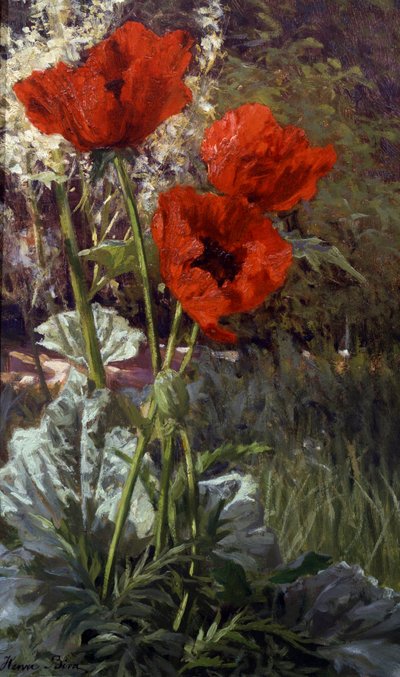 Papoilas. Pintura de Henri Biva (1848-1928) Coleção particular. de Henri Biva