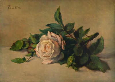 Rosa branca, c1863, 1938 de Ignace Henri Jean Fantin-Latour