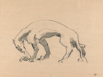 Lioness em perfil de Henri Gaudier Brzeska