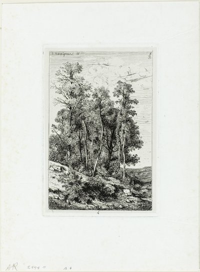 Bétulas e Carvalhos de Henri Joseph Harpignies