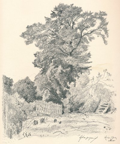 Estudo das Árvores, c1839-1898, 1898 de Henri Joseph Harpignies