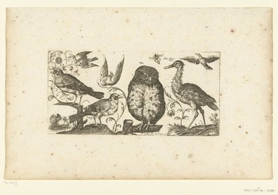 Nove pássaros e um inseto Aves (título da série) de Henri Le Roy