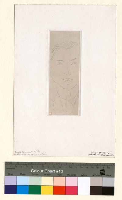 Olivares de Henri Matisse