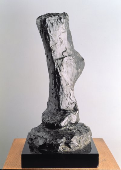 Estudo de um pé de Henri Matisse