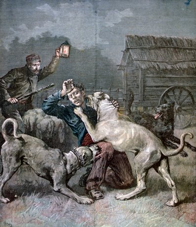 Um criminoso atacado por três cães grandes, 1891 de Henri Meyer