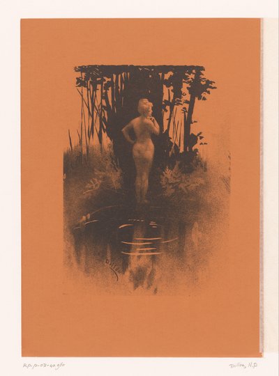 Mulher de banho na natureza de Henri Patrice Dillon