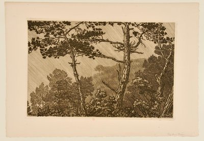 [Árvores sob o aguaceiro] de Henri Rivière