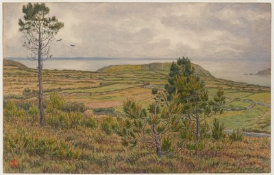 Baía de Douarnenez. Morgat de Henri Rivière