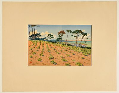 [Douarnenez vista da estrada do Ris] de Henri Rivière