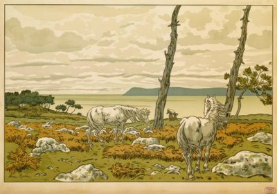 La Baie de Henri Rivière
