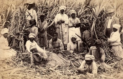 Cortadores de cana de açúcar, Jamaica de Henri S. Duperly