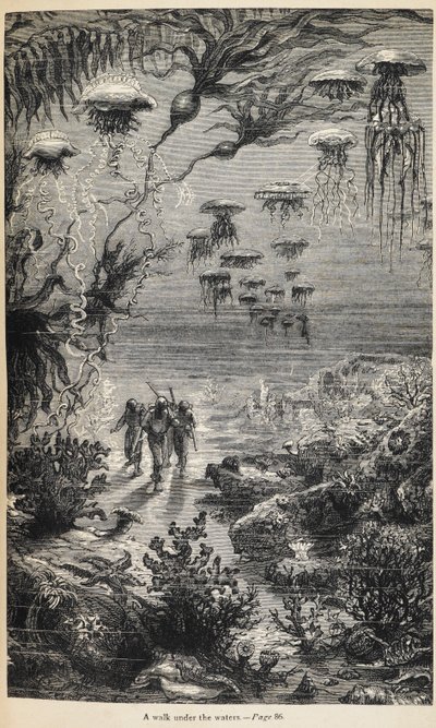 Ilustração para "20 000 Léguas Submarinas" escrita por Júlio Verne de Henri Theophile Hildibrand