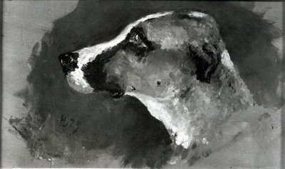 Cabeça de um cão com orelhas curtas, 1879 de Henri de Toulouse Lautrec