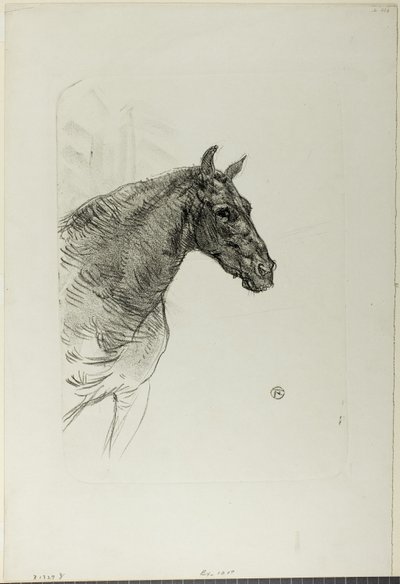 Philibert, o Pônei de Henri de Toulouse Lautrec