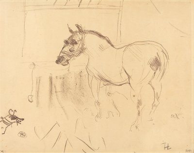 O pequeno pônei de Calmese de Henri de Toulouse Lautrec