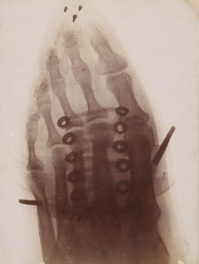 O pé no sapato, 1896. de Henri van Heurck