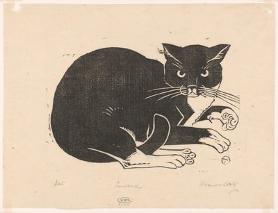 Kat (título original sobre o objecto) de Henri van der Stok (signed by artist)