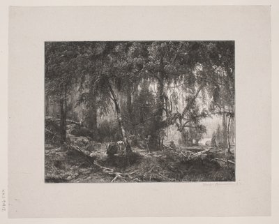Dinamarquês: Interior da floresta de Henrik Bornemann