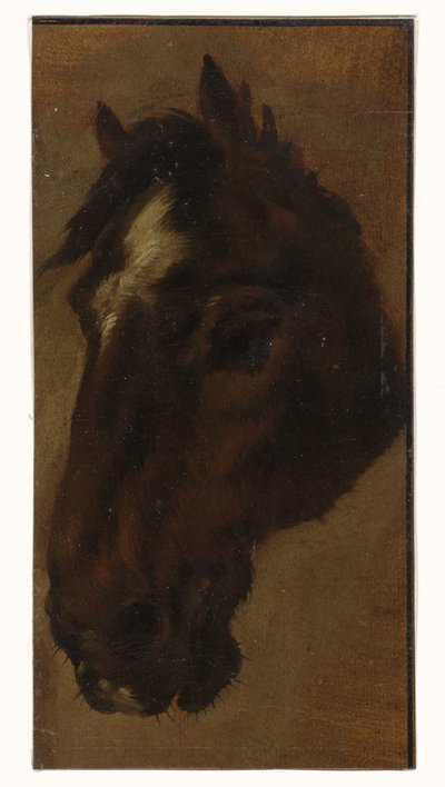 Cabeça de cavalo de Henriëtte Ronner
