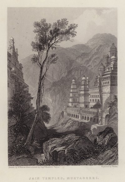 Jain Temples, Muktagerri (cor litho) de Henry (after) Warren