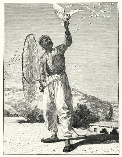 Pássaros de rapina no topo da casa no Leste (litho) de Henry Andrew Harper