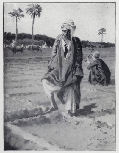 Regar com o pé em Gizeh, Egipto (litho) de Henry Andrew Harper